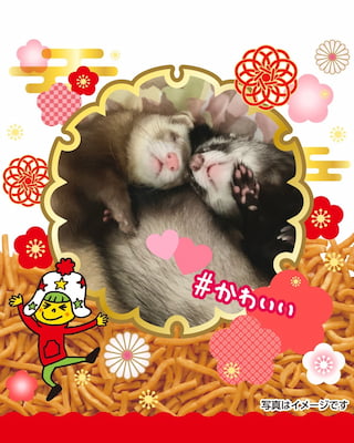 作例