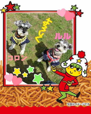 作例