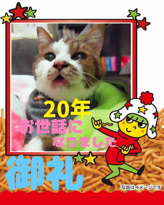 作例