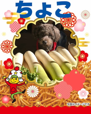 作例
