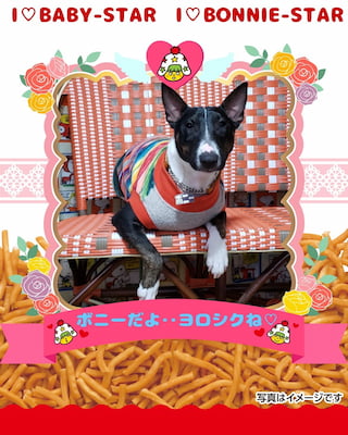作例