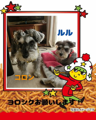 作例