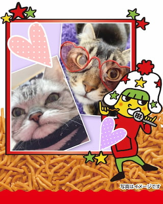 作例