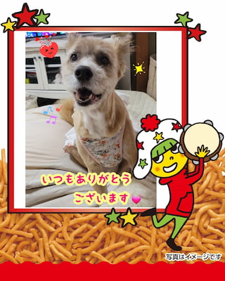 作例