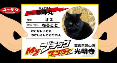 作例
