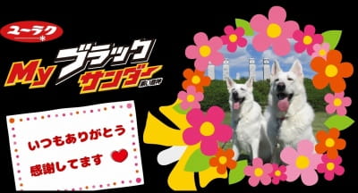 作例