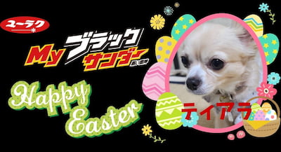 作例