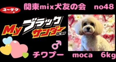 作例