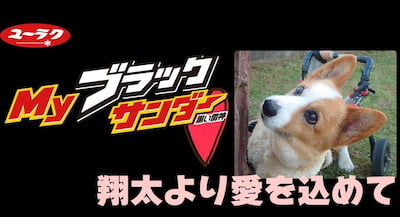 作例