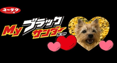 作例