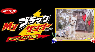 作例