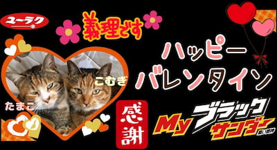 作例