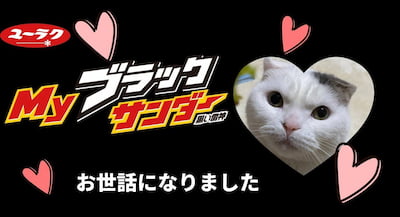 作例