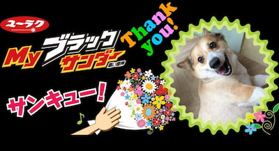 作例