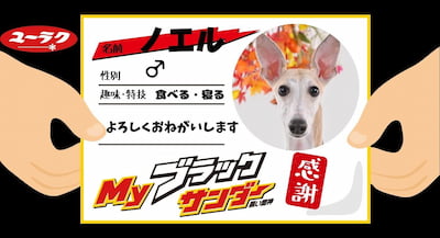 作例