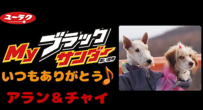 作例