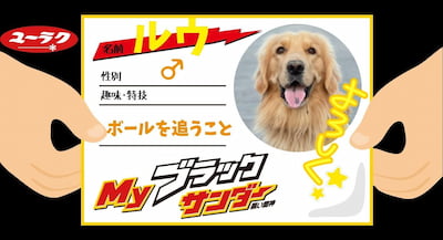 作例