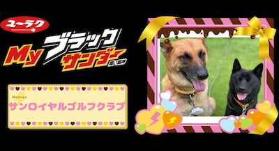 作例