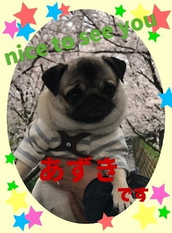 作例