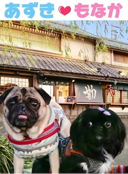 作例
