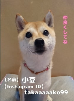 作例