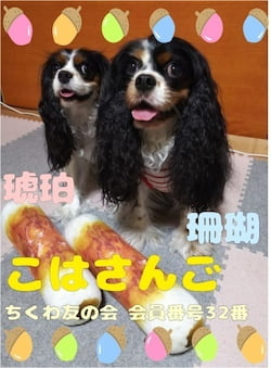 作例