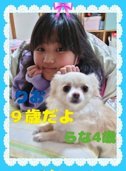 作例