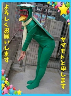 作例