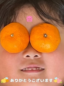 作例