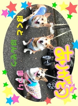 作例