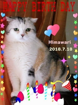 作例