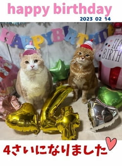 作例