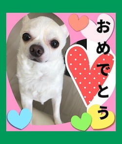 作例