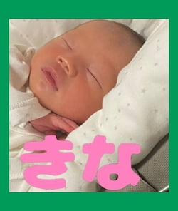 作例