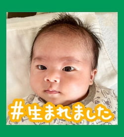 作例