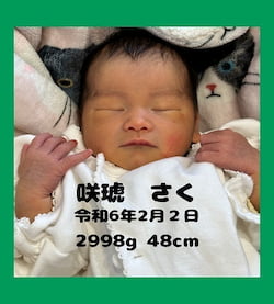 作例