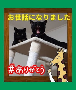 作例