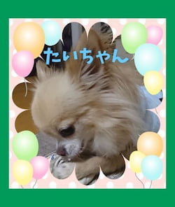 作例