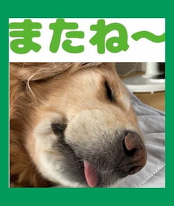 作例