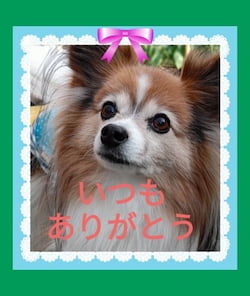 作例