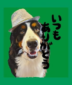 作例