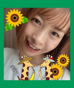 作例
