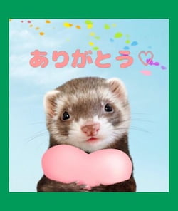 作例