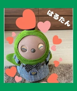 作例