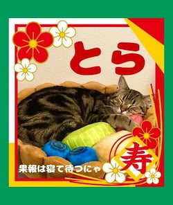 作例