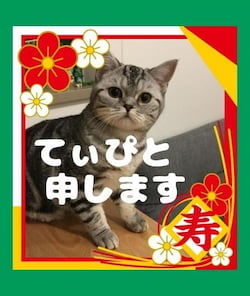 作例