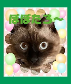 作例