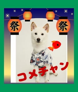作例
