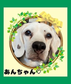 作例