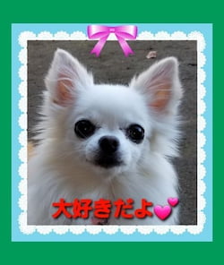 作例